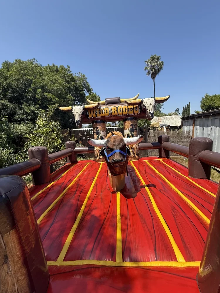 WILD RODEO mechanical bull on a red sunburst landing mat